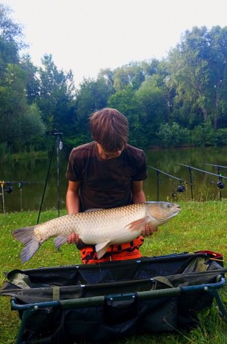 Boilies Amur speciál