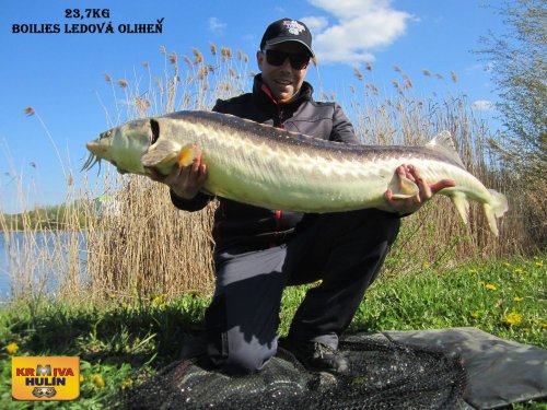 23,7kg, boilies ledová oliheň