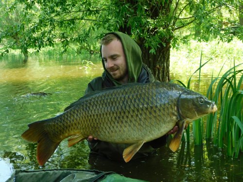 Boilies Pikantní jahoda