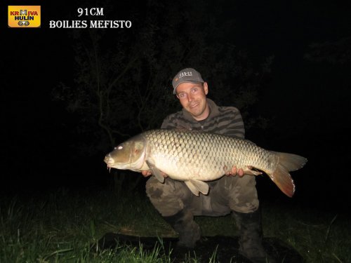 91cm, boilies mefisto
