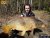 RRB carp team při testování našich boilies směsí