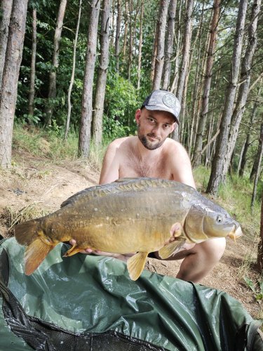 Boilies Pikantní perník