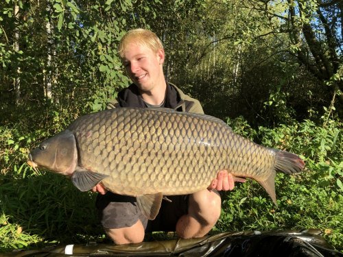 14,5kg, boilies Krill a oliheň