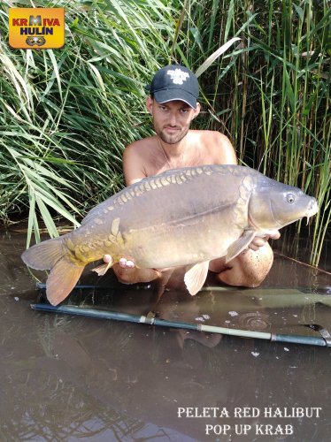 10kg, peleta red halibut krev, pop up krab