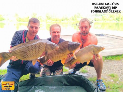 Boilies Calypso, práškový dip Pomeranč/Česnek
