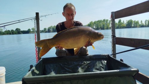 Boilies Pikantní perník Boilies Pikantní perník