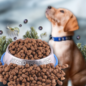 Hybridné krmivo pre psov - HYBRID VEGAN/FISH PRO - Obličky, Alergici, EPI, Seniori (Krmiva Hulín, HKP-1) | Krmiva Hulín Hybridné krmivo pre psov - HYBRID VEGAN/FISH PRO - Obličky, Alergici, EPI, Seniori (Krmiva Hulín, HKP-1) | Krmiva Hulín