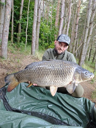 14,5kg, boilies Pikantní perník