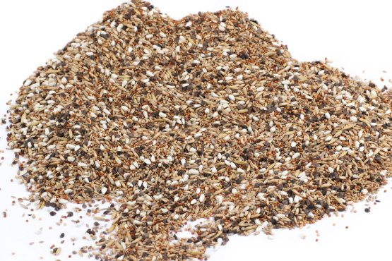 Krmivo Avest - PRO AGAPORNIS 12 - Vyberte balení: 500 g