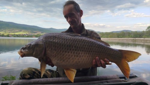 Boilies Pikantní perník