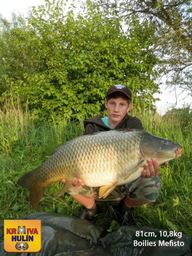 81cm, 10,8kg, boilies Mefisto, svazová voda