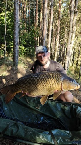 17,1kg, boilies Pikantní perník