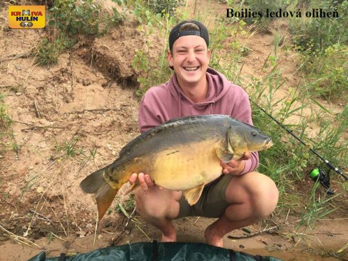 Boilies ledová oliheň, svazová voda