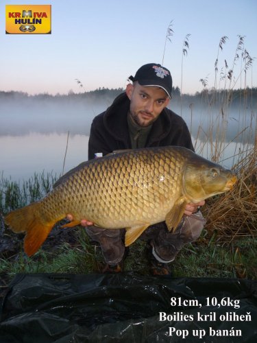 10,6kg, boilies krill/oliheň, pop up banán/meruňka, svazová voda