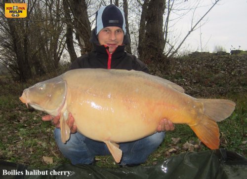 Boilies halibut/cherry