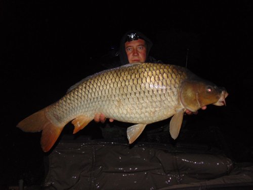 Boilies Pikantní krill