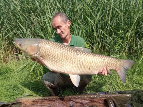 Boilies Pikantní perník