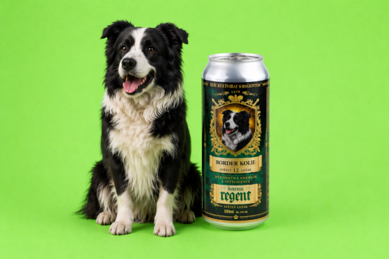 Pivo Regent - BORDER KOLIE - 0,5 l (BOHEMIA REGENT, PRBK) | Krmiva Hulín Pivo Regent - BORDER KOLIE - 0,5 l (BOHEMIA REGENT, PRBK) | Krmiva Hulín