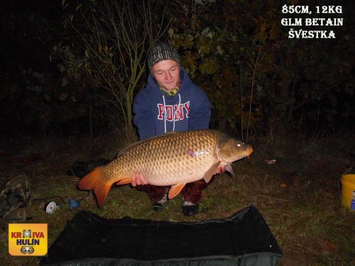 85cm, 12kg, boilies GLM betain se Švestkou, obalovací těsto, pop up Ananas, svazová voda