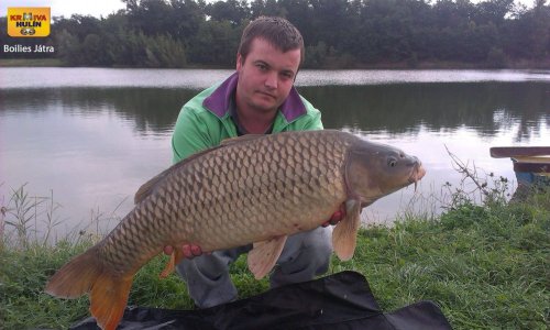 Boilies Játra