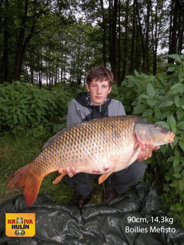 90cm, 14,3kg, boilies Mefisto, svazová voda