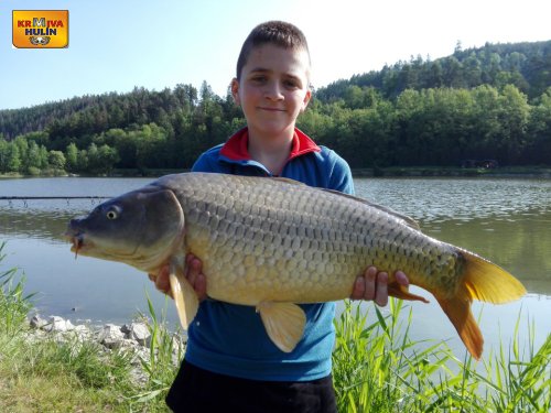 Boilies mléčná kukuřice.