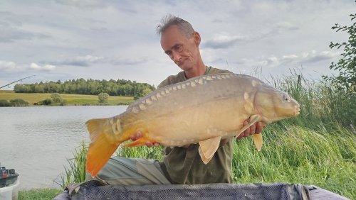 Boilies Pikantní perník