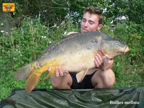 Boilies mefisto