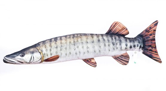 Plyšová ryba Gaby - ŠTIKA MUSKELLUNGE - 80 cm (Gaby, GŠM80) | Krmiva Hulín