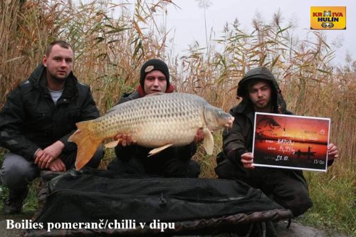 Boilies pomeranč/chilli v dipu