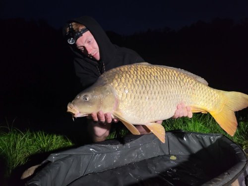 Boilies Pikantní jahoda