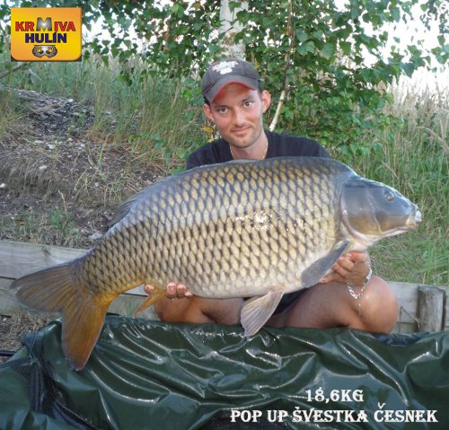 18,6kg, pop up Švestka/Česnek