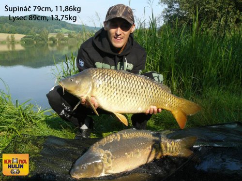 79cm, 11,86kg, 89cm, 13,75kg