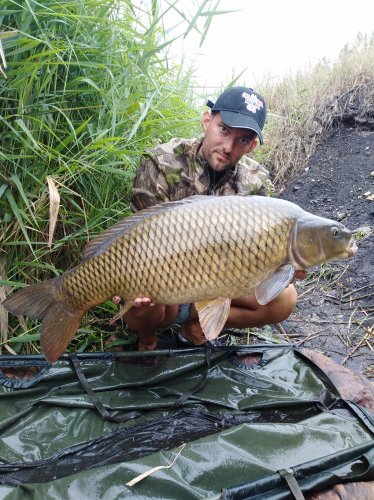 90cm, 13,7kg, zig rig - pop up Švestka/Česnek