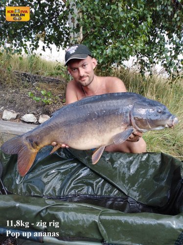11,8kg, zig rig - pop up ananas