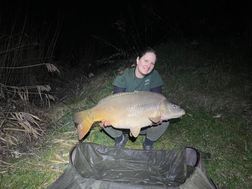 Boilies Pikantní krill