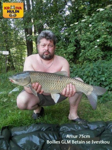 Boilies GLM betain se Švestkou, svazová voda