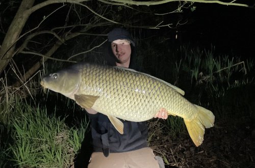 Boilies Tygří ořech