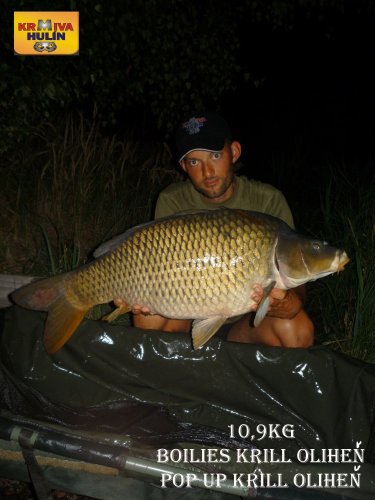 10,9kg, boilies krill/oliheň, pop up krill/oliheň