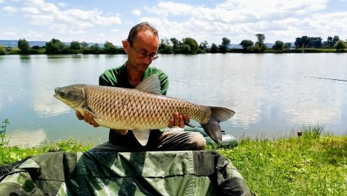 Boilies Pikantní krill