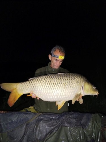 Boilies Pikantní perník