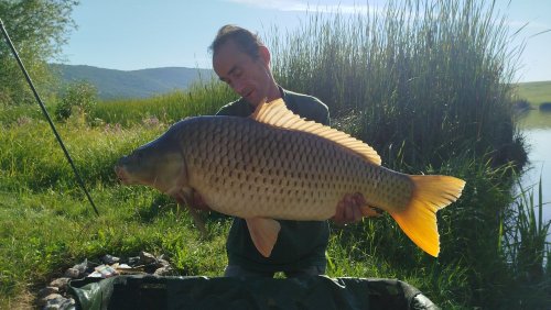 Boilies Mefisto