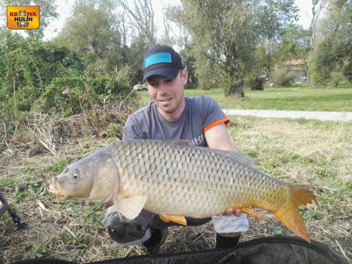 Boilies pomeranč a chilli.
