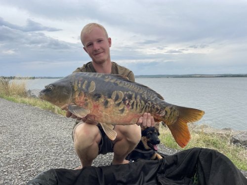 Boilies Krill a oliheň + pop up Oliheň