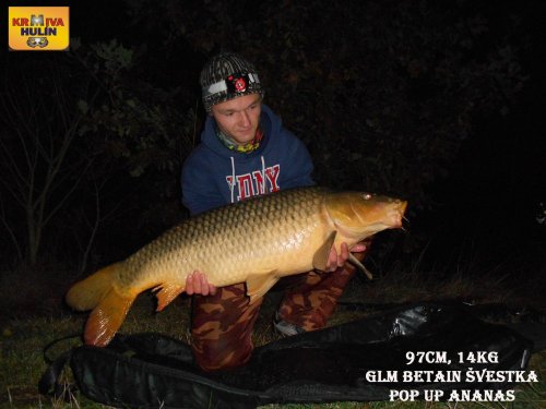 97cm, 14kg, boilies GLM betain se Švestkou, pop up Ananas, svazová voda