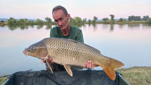 Boilies Pikantní krill