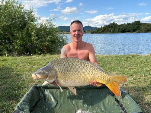 Rozpustné boilies Krill a Oliheň