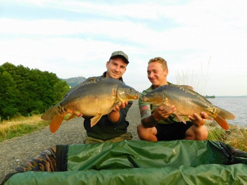 Boilies Krill/Oliheň