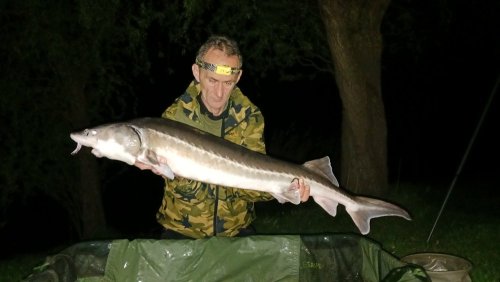 Boilies Mefisto