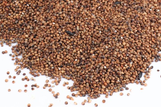 Čirok červený - Vyberte balení: 1 kg
